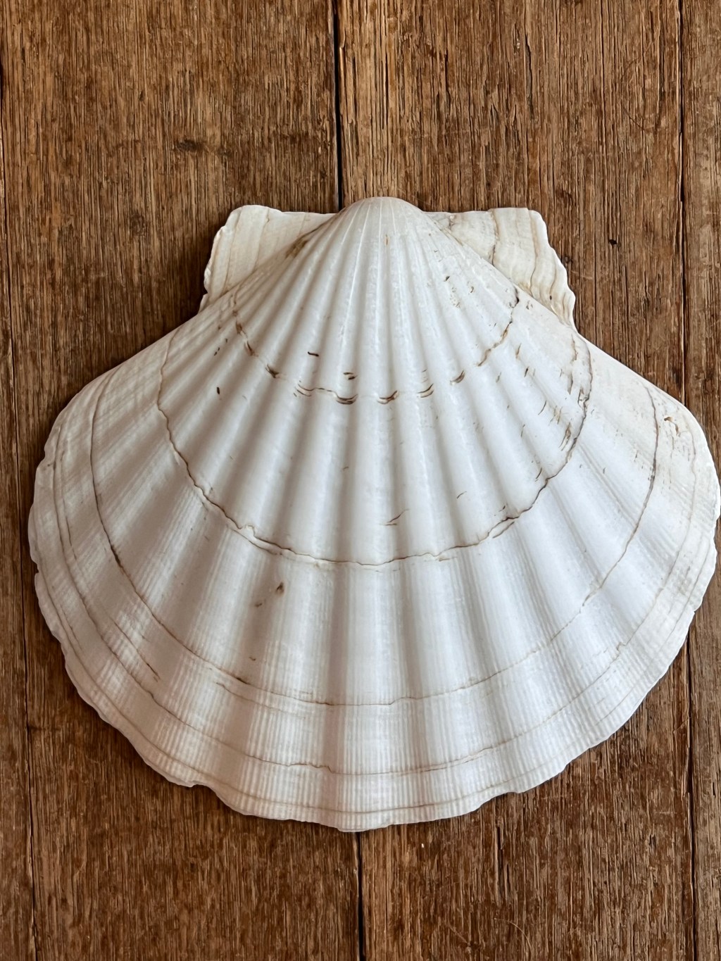 Saint James the&nbsp;Apostle